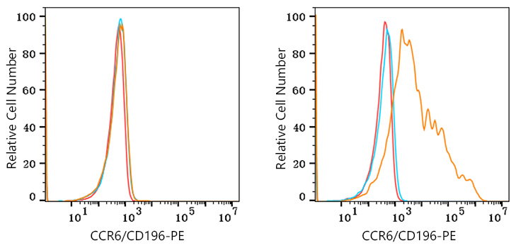 PE Rabbit anti-Mouse CCR6/CD196 mAb