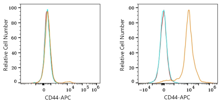 APC Rabbit anti-Mouse CD44 mAb