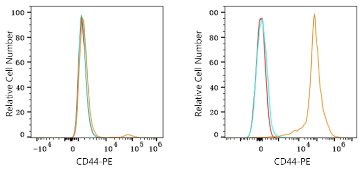 PE Rabbit anti-Mouse CD44 mAb