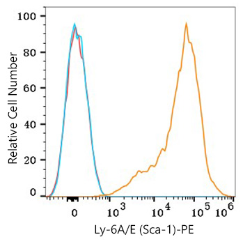 PE Rabbit anti-Mouse Ly-6A/E (Sca-1) mAb