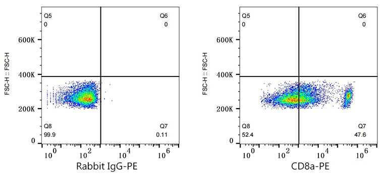 PE Rabbit anti-Mouse CD8a mAb