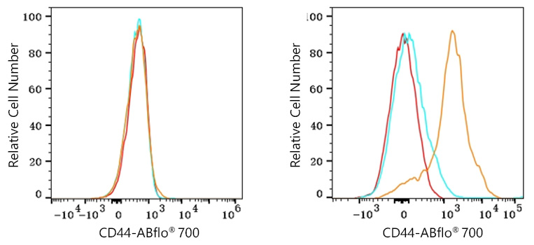 ABflo® 700 Rabbit anti-Mouse CD44 mAb