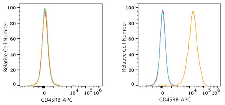 APC Rabbit anti-Human CD45RB mAb