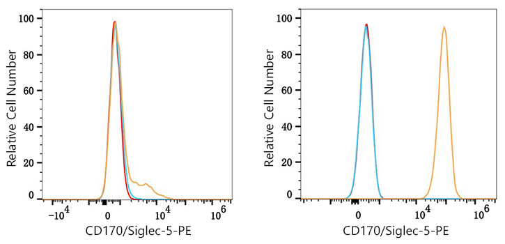 PE Rabbit anti-Human CD170/Siglec-5 mAb