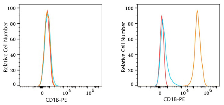 PE Rabbit anti-Human CD1B mAb