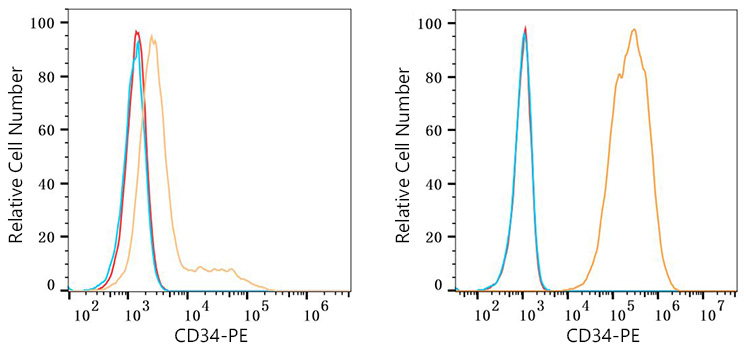 PE Rabbit anti-Mouse CD34 mAb