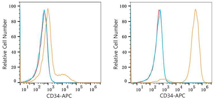 APC Rabbit anti-Mouse CD34 mAb