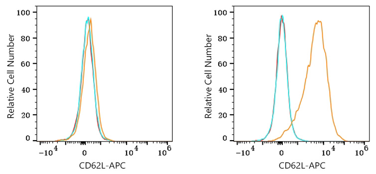 APC Rabbit anti-Human CD62L/L-Selectin mAb