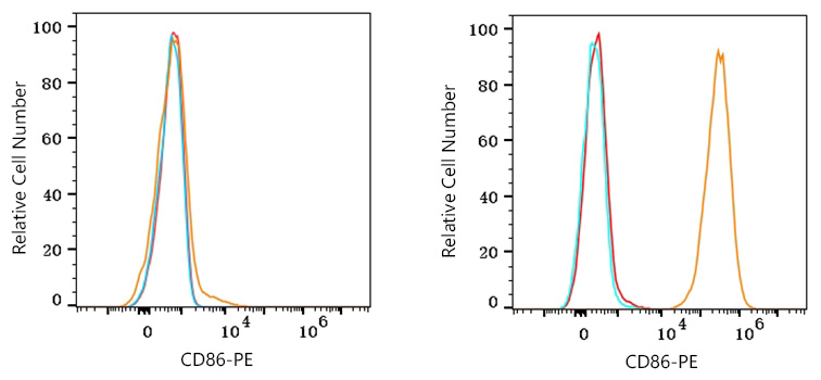 PE Rabbit anti-Human CD86 mAb