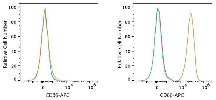 APC Rabbit anti-Human CD86 mAb