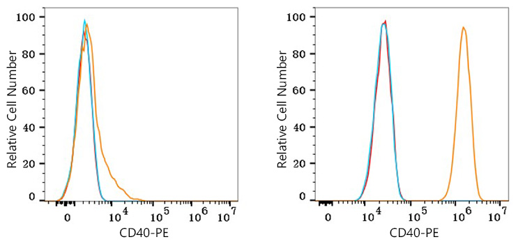 PE Rabbit anti-Human CD40 mAb