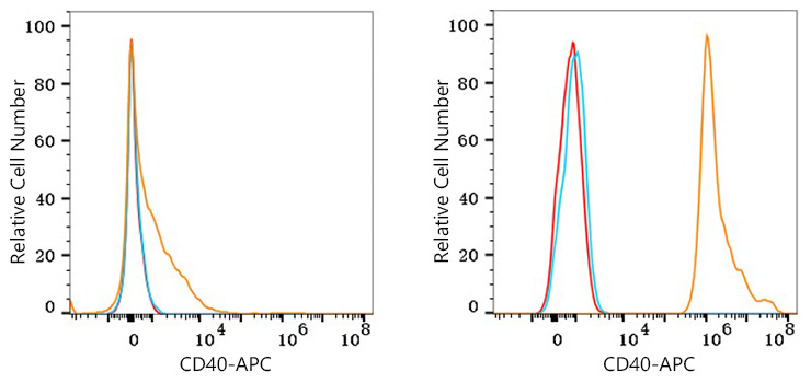 APC Rabbit anti-Human CD40 mAb