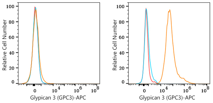 APC Rabbit anti-Human Glypican 3 (GPC3) mAb