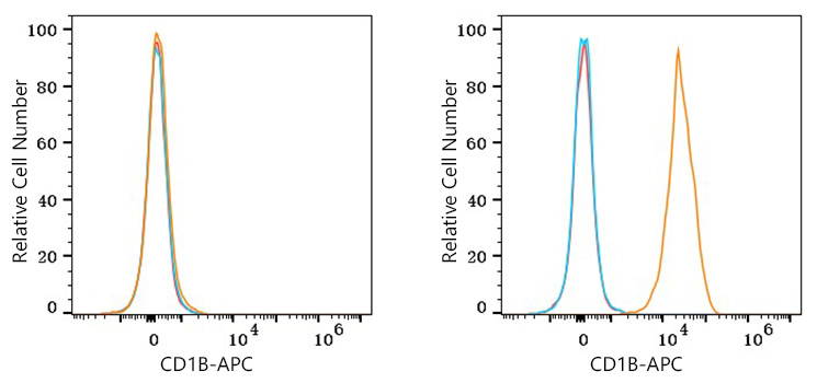 APC Rabbit anti-Human CD1B mAb