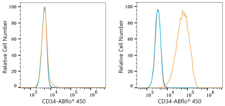 ABflo® 450 Rabbit anti-Mouse CD34 mAb