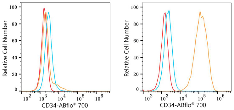 ABflo® 700 Rabbit anti-Mouse CD34 mAb