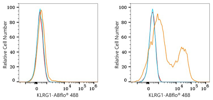 ABflo® 488 Rabbit anti-Human KLRG1 PolymAb®