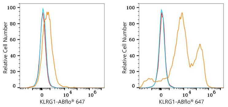 ABflo® 647 Rabbit anti-Human KLRG1 PolymAb®