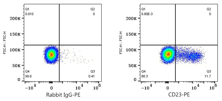 PE Rabbit anti-Human CD23 mAb