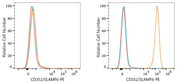 PE Rabbit anti-Human CD352/SLAMF6 mAb