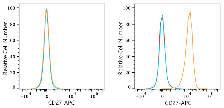 APC Rabbit anti-Human CD27 mAb