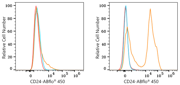 ABflo® 450 Rabbit anti-Mouse CD24 mAb