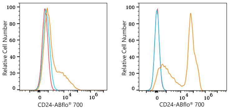 ABflo® 700 Rabbit anti-Mouse CD24 mAb