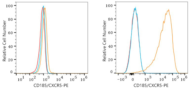 PE Rabbit anti-Human CD185/CXCR5 mAb