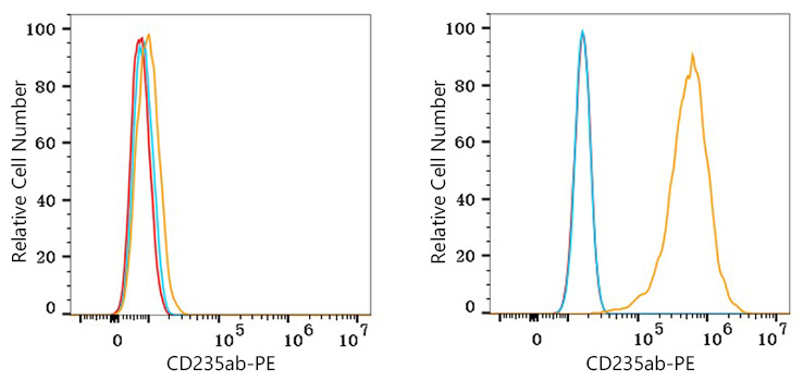 PE Rabbit anti-Mouse IgG2b mAb