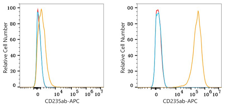 APC Rabbit anti-Mouse IgG2b mAb