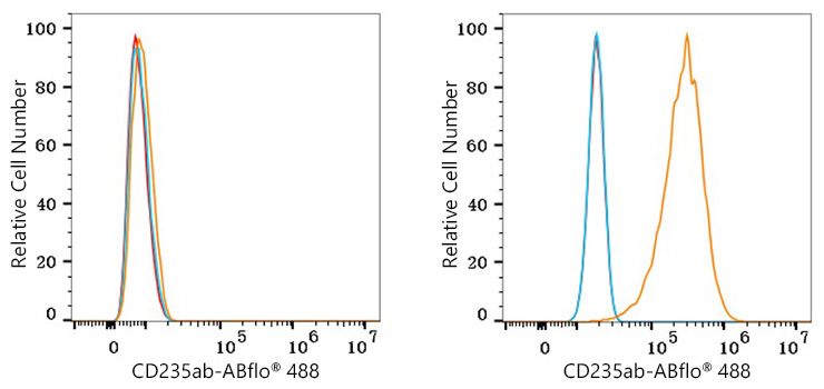 ABflo® 488 Rabbit Anti-Mouse IgG2b mAb