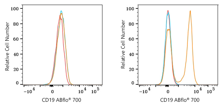 ABflo® 700 Rabbit anti-Mouse CD19 mAb