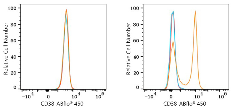 ABflo® 450 Rabbit anti-Mouse CD38 mAb