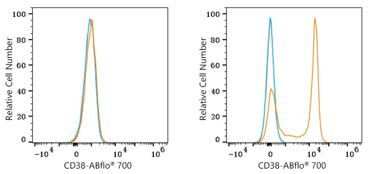 ABflo® 700 Rabbit anti-Mouse CD38 mAb