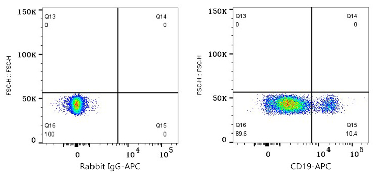 APC Rabbit anti-Human/Monkey CD19 mAb