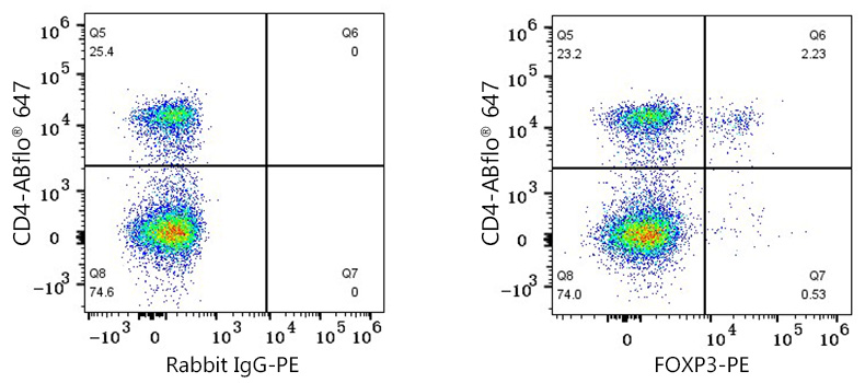 PE Rabbit anti-Mouse FOXP3 mAb