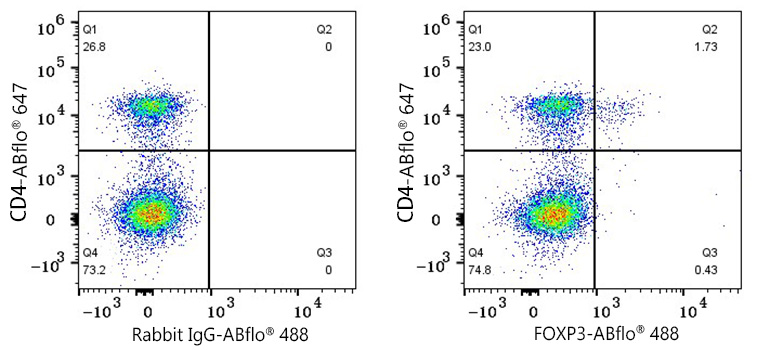 ABflo® 488 Rabbit anti-Mouse FOXP3 mAb