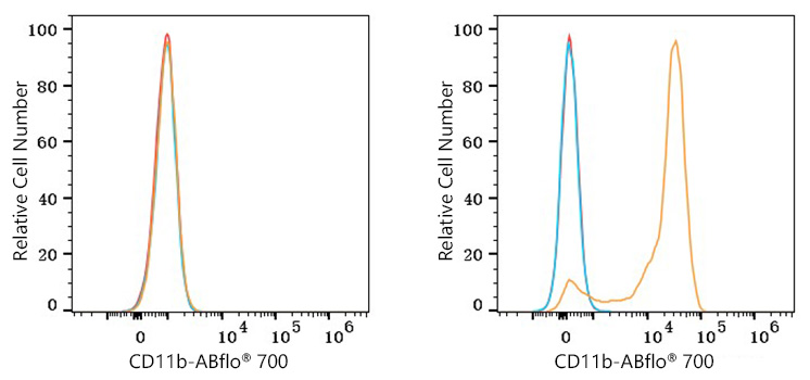 ABflo® 700 Rabbit anti-Mouse CD11b mAb