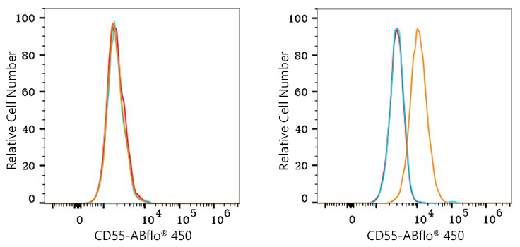 ABflo® 450 Rabbit anti-Human CD55 mAb