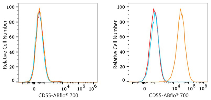 ABflo® 700 Rabbit anti-Human CD55 mAb