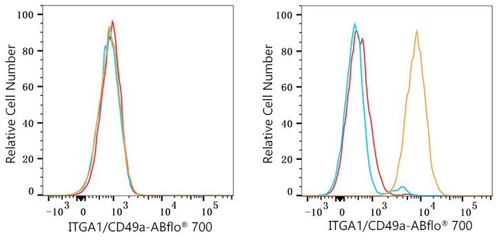 ABflo® 700 Rabbit anti-Human ITGA1/CD49a mAb