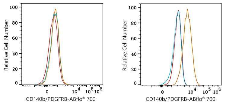 ABflo® 700 Rabbit anti-Human CD140b/PDGFRβ mAb