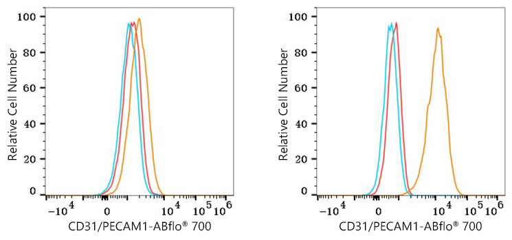 ABflo® 700 Rabbit anti-Human CD31/PECAM1 mAb