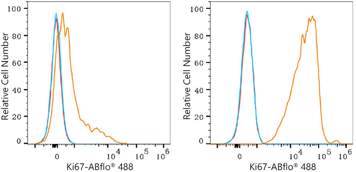 ABflo® 488 Rabbit anti-Mouse Ki67 mAb