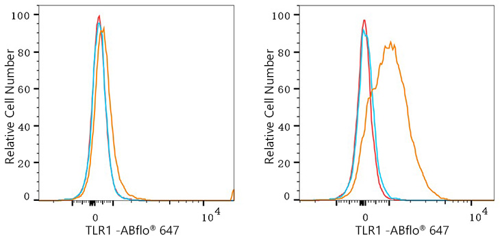 ABflo® 647 Rabbit anti-Human TLR1 mAb