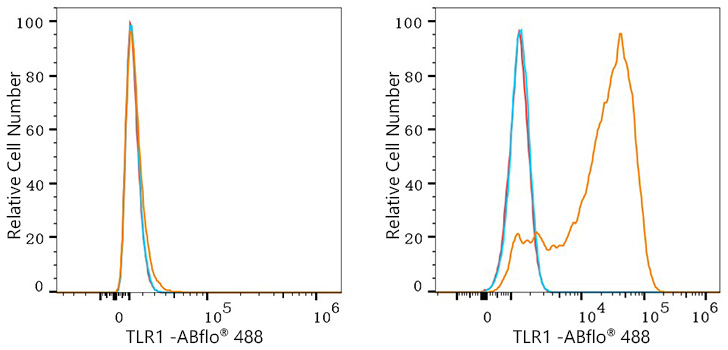 ABflo® 488 Rabbit anti-Human TLR1 mAb