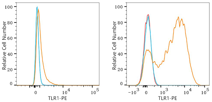 PE Rabbit anti-Human TLR1 mAb