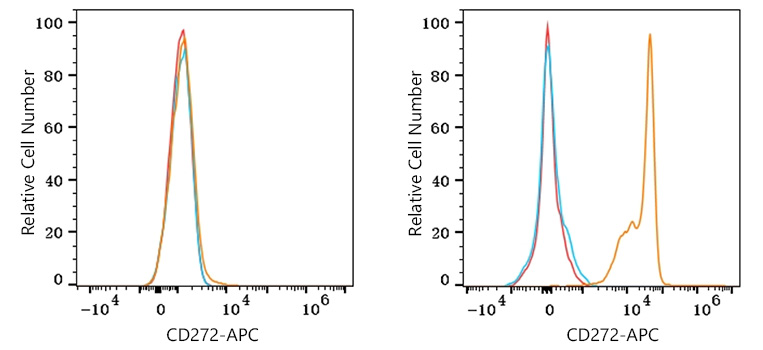 APC Rabbit anti-Mouse CD272/BTLA mAb