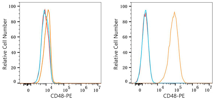 PE Rabbit anti-Human CD48 mAb