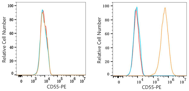 PE Rabbit anti-Human CD55 mAb